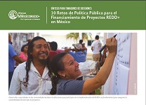 10 Retos de Política Pública para el Financiamiento de Proyectos REDD+ en México