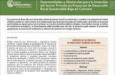 Oportunidades y obstáculos para la inversión del sector privado en proyectos de desarrollo Sustentable bajos en Carbono