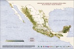 Mapa de la densidad de carbono en biomasa leñosa aérea de los bosques y selvas en México