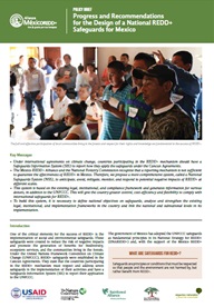 Progress and Recommendations for the design of a National REDD+ Safeguards for Mexico