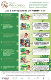Los 7 salvaguardas de REDD+ (Póster)