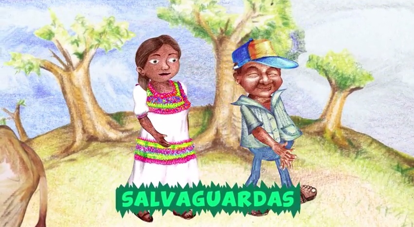 Salvaguardas de REDD+