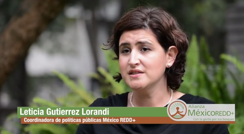 Importancia de la equidad de género en el desarrollo rural sustentable en México