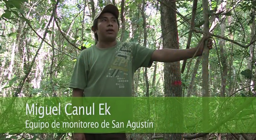 El monitoreo comunitario como herramienta de gestión para la comunidad de San Agustín en Yucatán