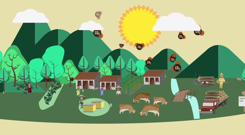 Conoce la visión de México para REDD+