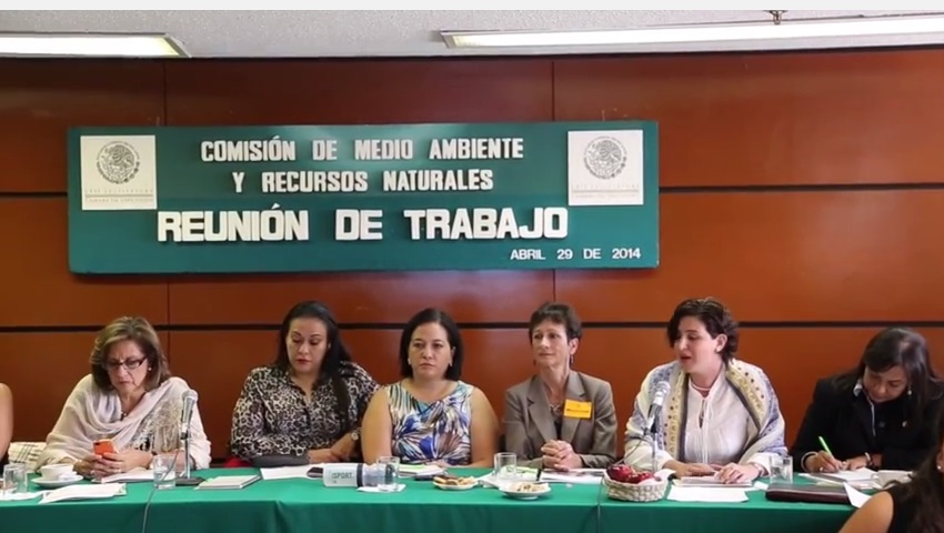 Acciones y políticas impulsadas por la Alianza México REDD+
