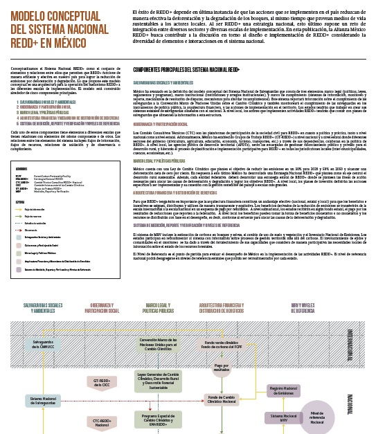 Infografía Modelo Conceptual del Sistema Nacional REDD+ en México