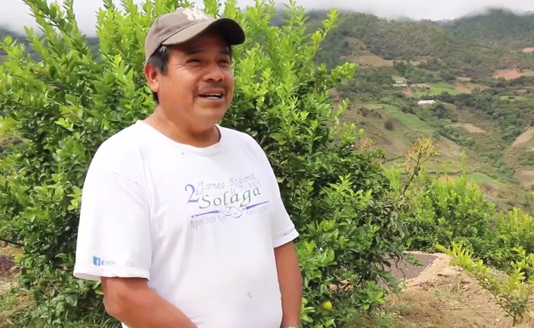 Buenas prácticas en el bosque mesófilo de Oaxaca