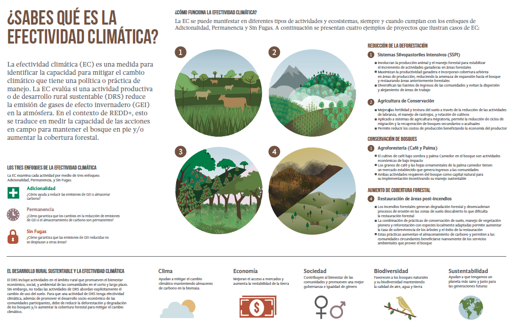 Efectividad climática