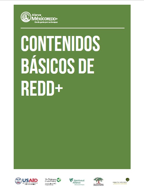 Contenidos básicos de REDD+
