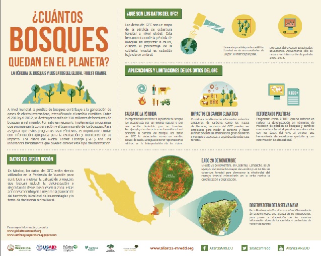 Infografía ¿Cuántos bosques quedan en el planeta?