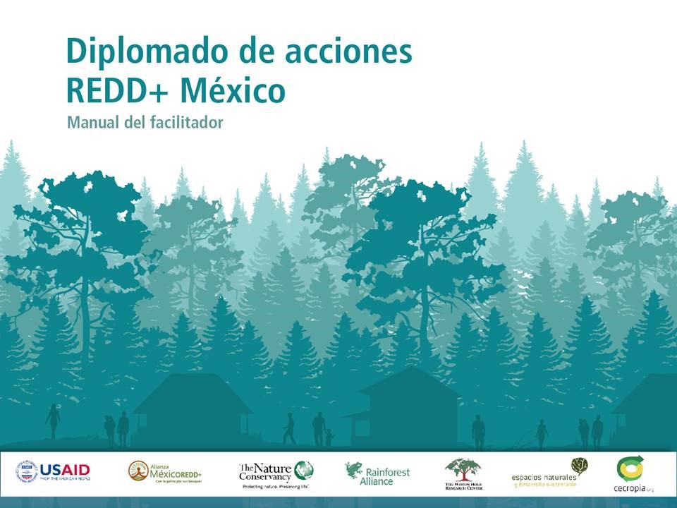 Curso acciones REDD+
