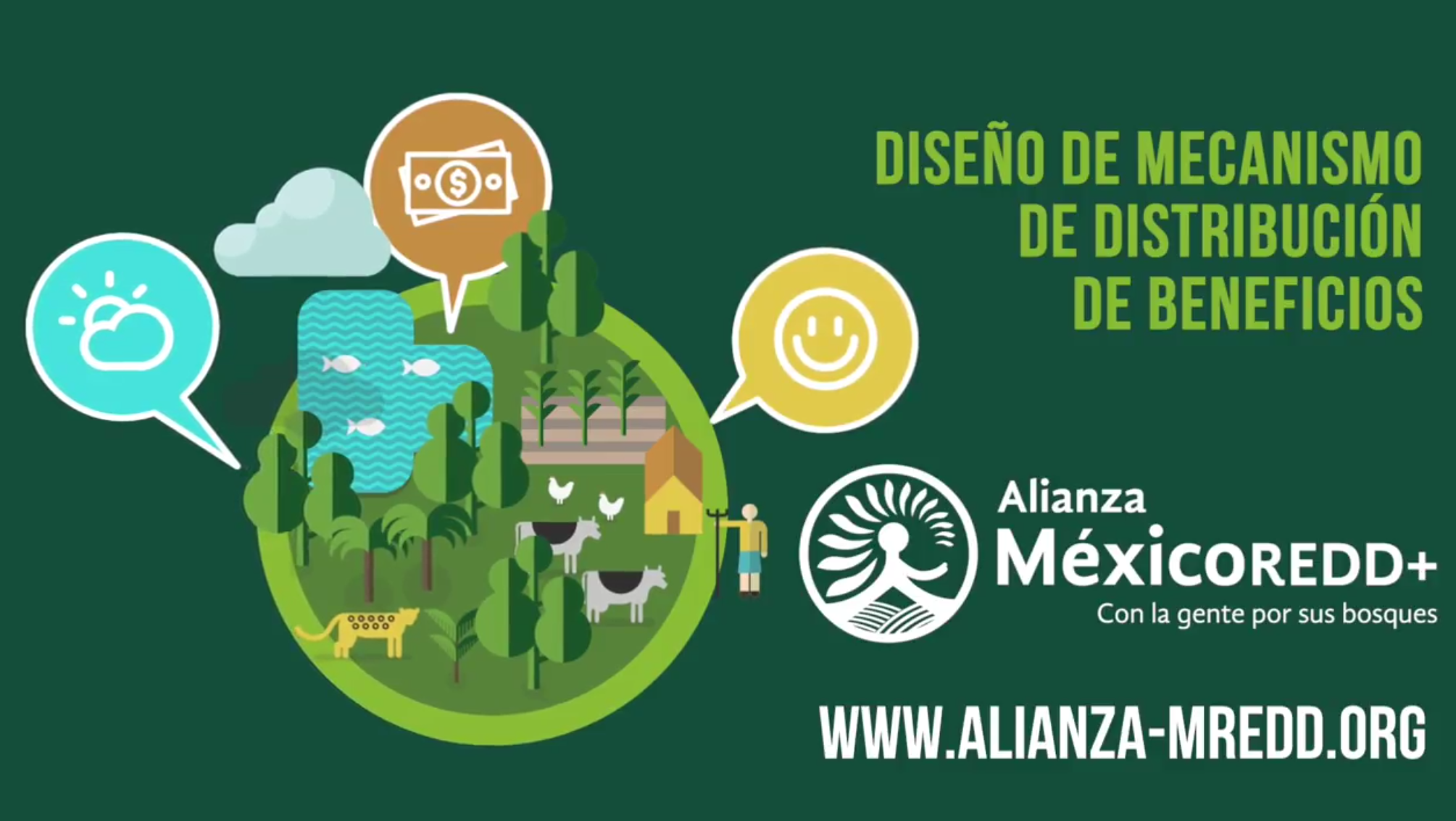 Diseño de mecanismo para distribución de beneficios REDD+ para México 