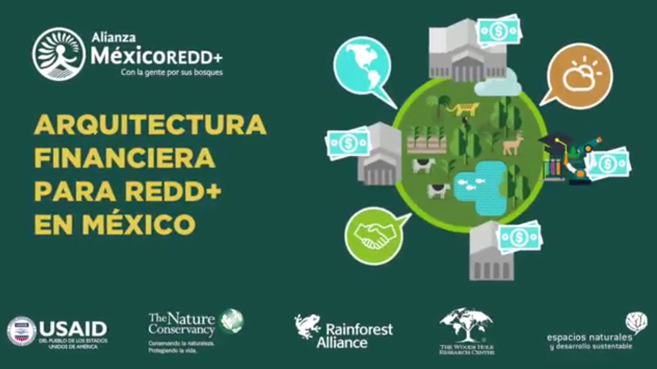 Arquitectura financiera para REDD+ en México 