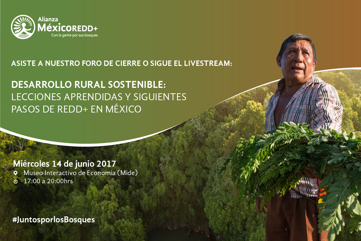 Foro "Desarrollo rural sostenible: lecciones aprendidas y siguientes pasos de REDD+ en México"