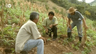 trabajo-campo1