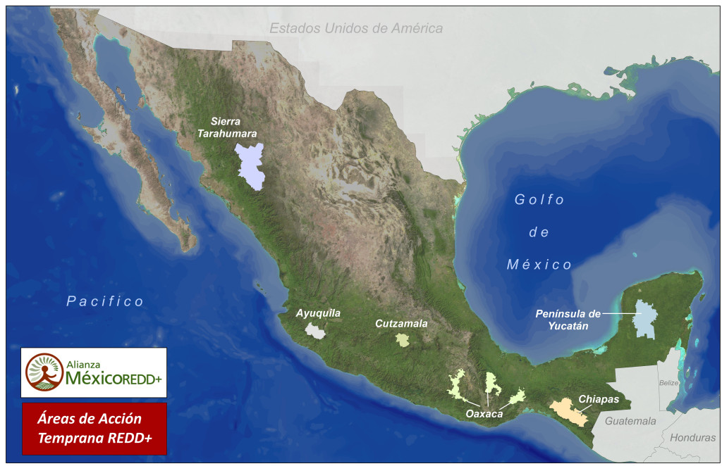Areas_MREDD_medio