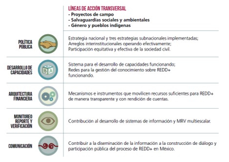 imagen de Líneas de Acción Transversal