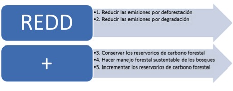 imagén de cinco actividades basicas